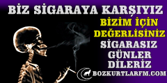 sigaraya_hayir_2013